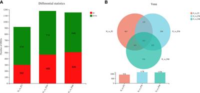 Comprehensive Transcriptomic and Metabolomic Analysis of the Litopenaeus vannamei Hepatopancreas After WSSV Challenge